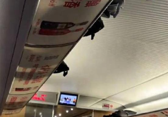 列车遭遇野猪危机，智能系统展现科技魅力与深度防撞体验介绍