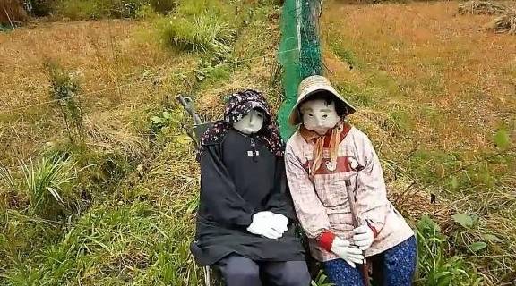 日本孤独村庄，人偶缓解心灵孤独，自然疗愈力量的探索之旅