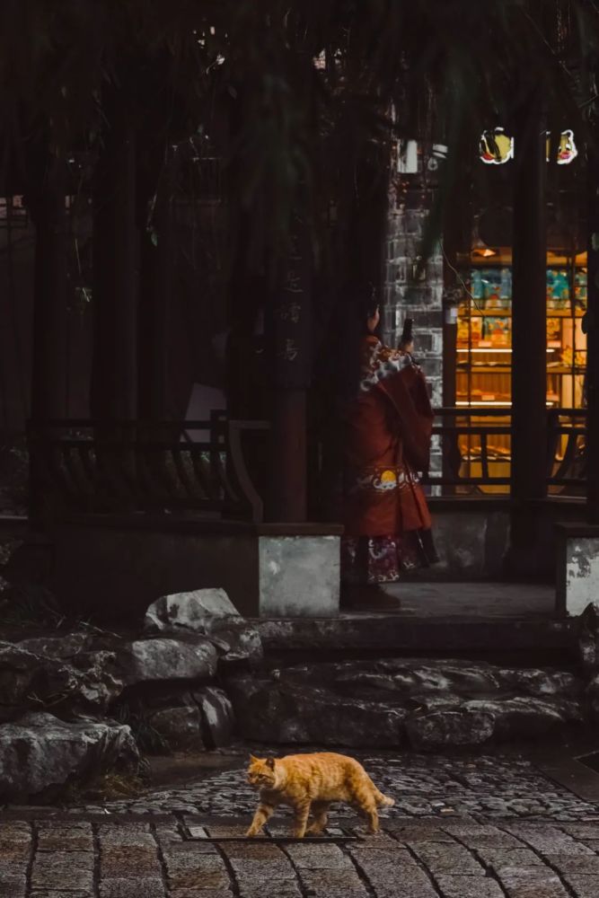 电影时光巷，探秘小巷深处的宝藏，揭秘隐藏的光影秘密乐园