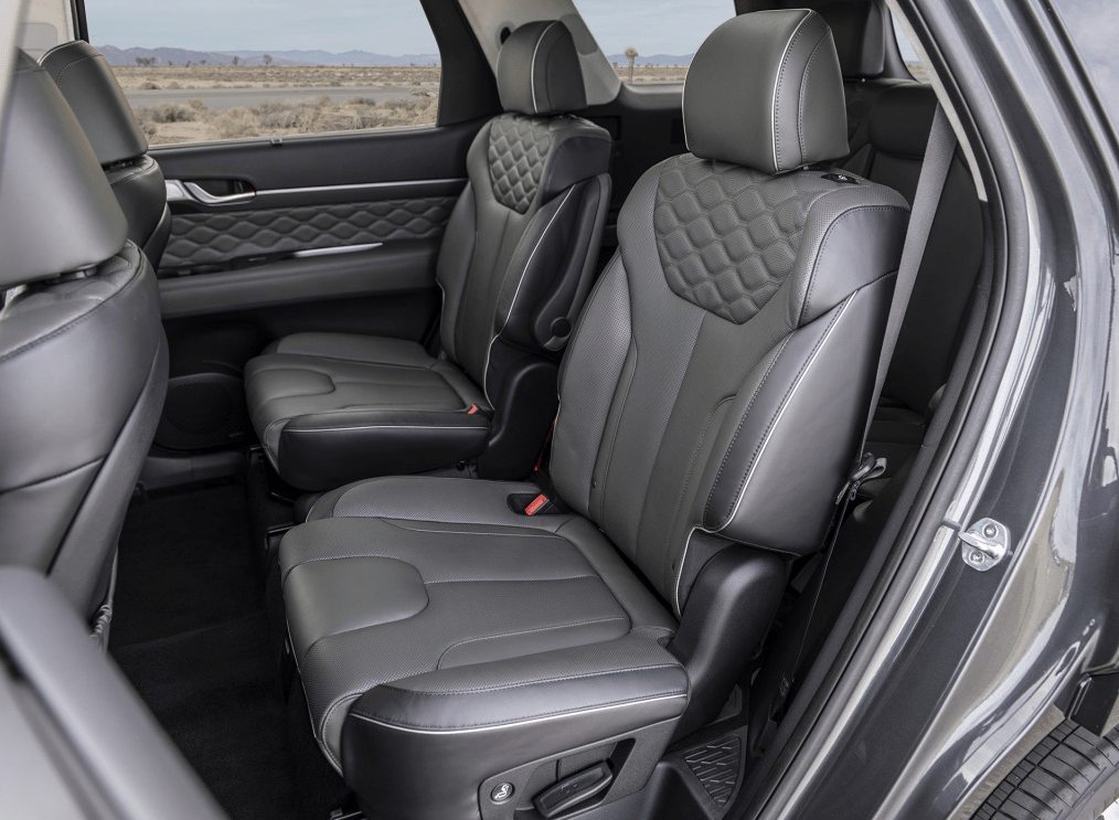 师途同门绘新篇，三十日成长路上的暖心日常立绘最新