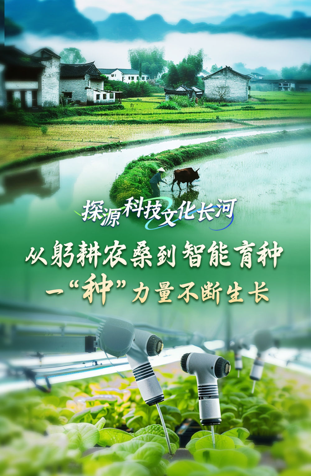 2024年10月30日 第20页