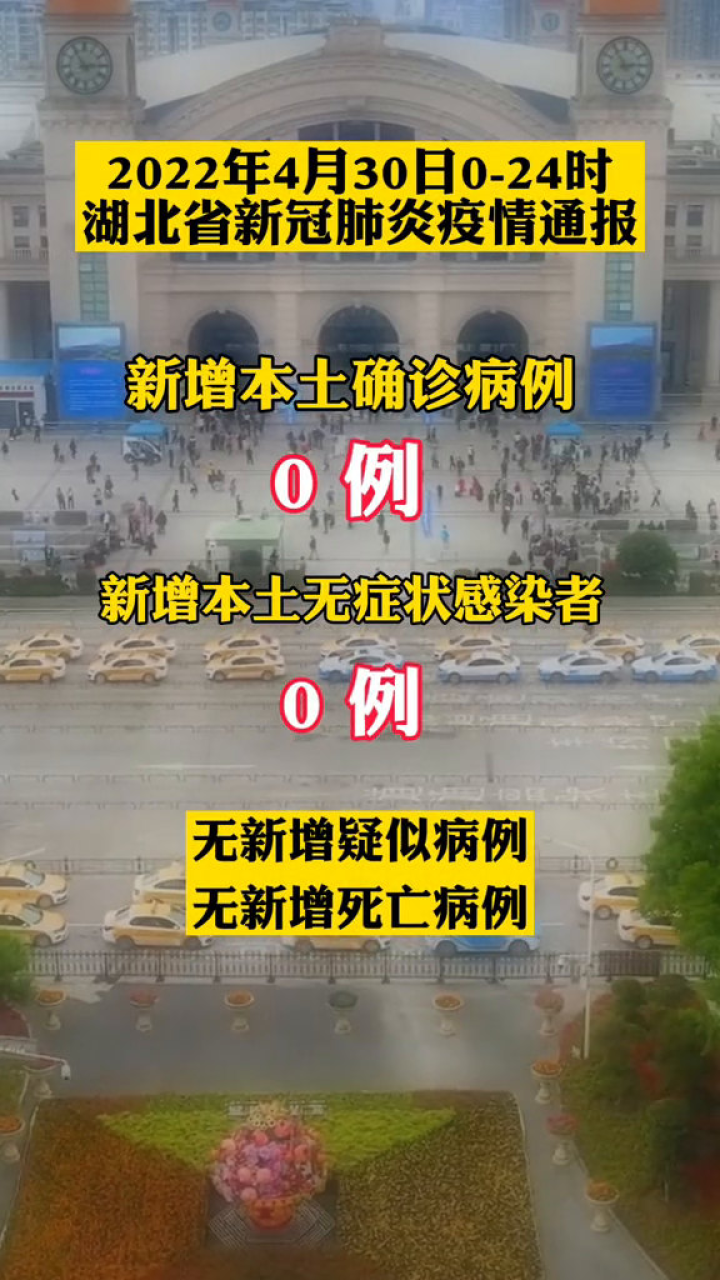 湖北省第三十日疫情动态观察与解析