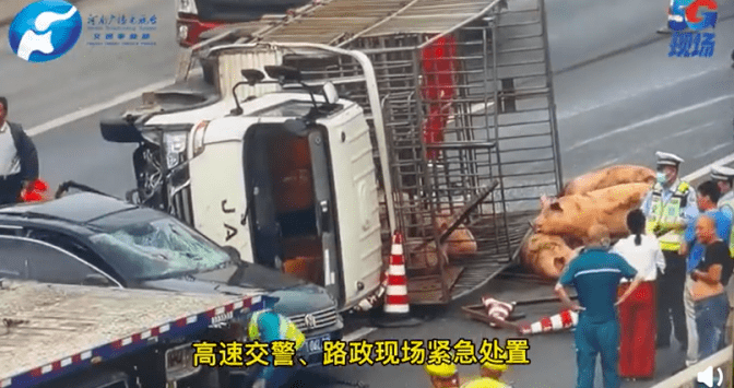 全球新冠疫苗最新动态，疫苗新纪元与隐藏瑰宝的探寻之旅