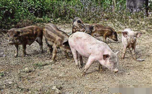 2024年10月 第48页