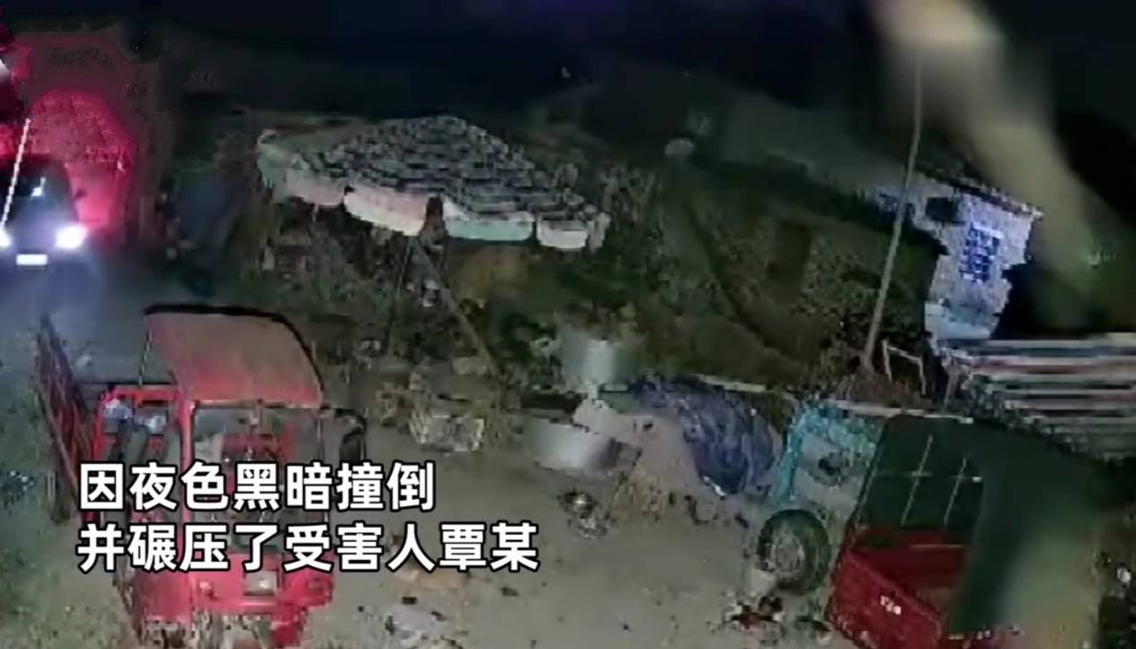 云南女子偶遇野猪坠落事件背后的科技力量，智能预警系统推动人与野生动物和谐共生新篇章