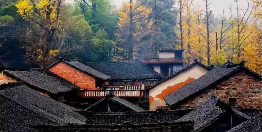 揭秘特色小店，探索独特风味的小提梁祝祝酒文化之旅