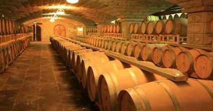 独家揭秘，探索最新假料屋的独特魅力与价值揭秘