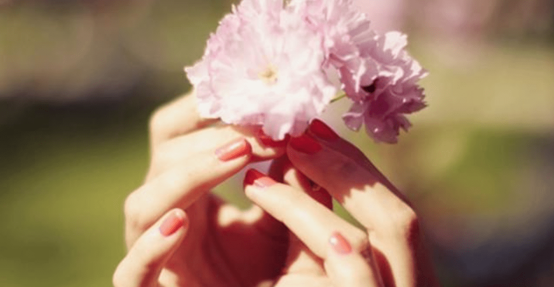 情感与艺术深度探讨，素子花殇最新动态解析