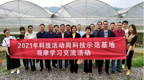 31日呈贡新地拍卖,变化中的学习,铸就自信与成就之光之路