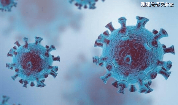 探索自然美景之旅,在最新作业量中寻找内心的平和与宁静之旅