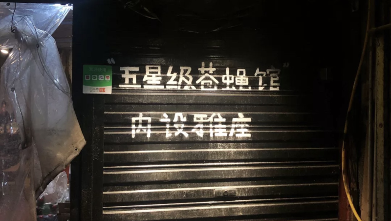 探索小巷独特风情,揭秘31日最新人文特色小店之旅。