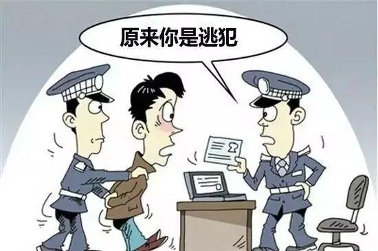 最新犯罪新闻解读与应对指南，11月1日犯罪动态深度剖析