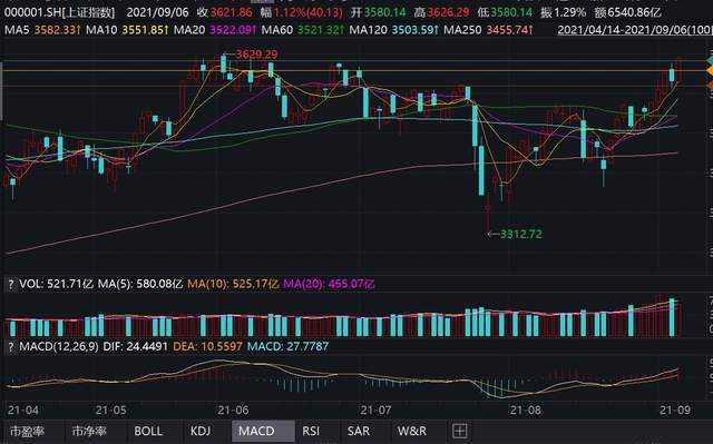 揭秘最新复牌公告，企业复苏的关键行动与案例分析