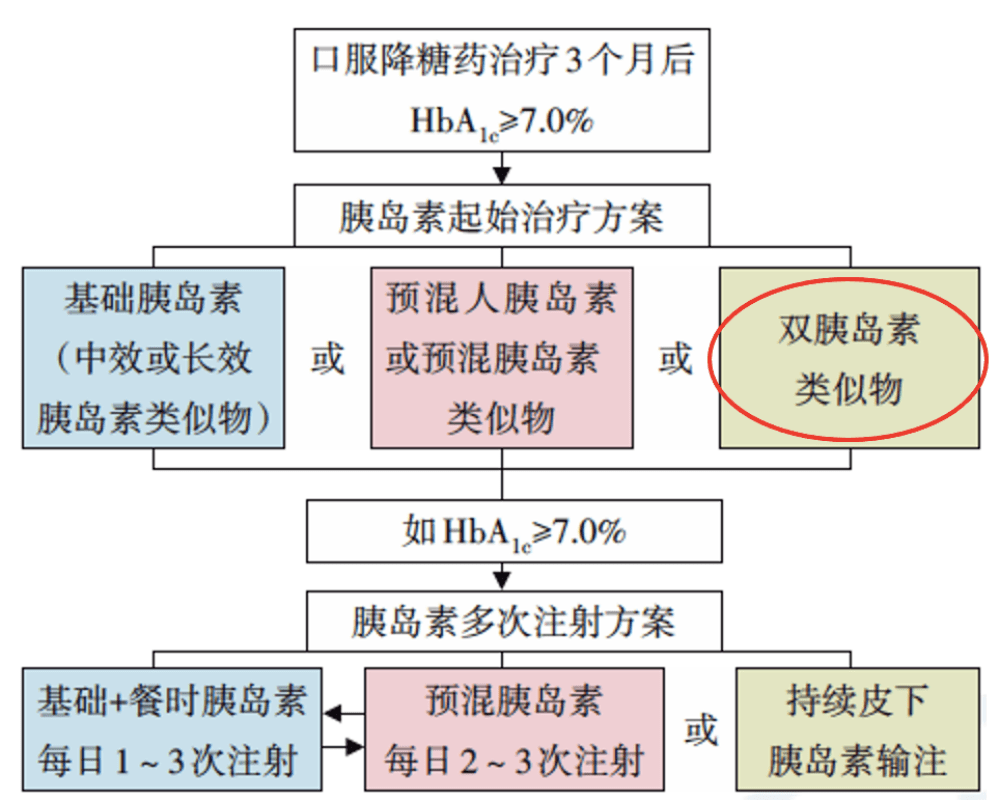 坪山最新动态解读与行动指南，11月1日更新
