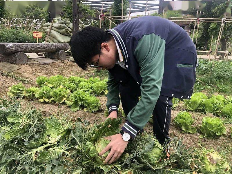 粉笔画上的友情与爱，温馨日常故事