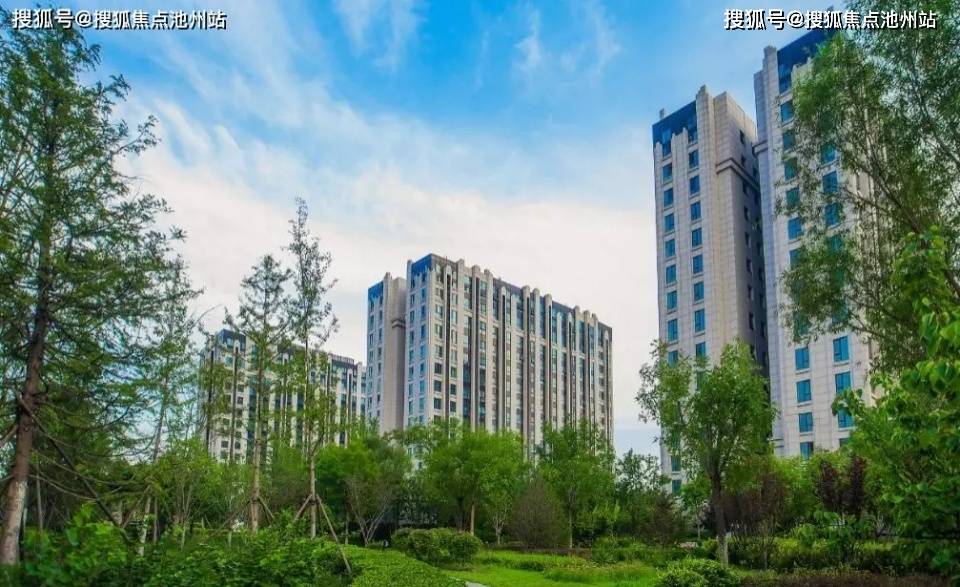 阳江最新楼盘，阳光下的温馨家园故事