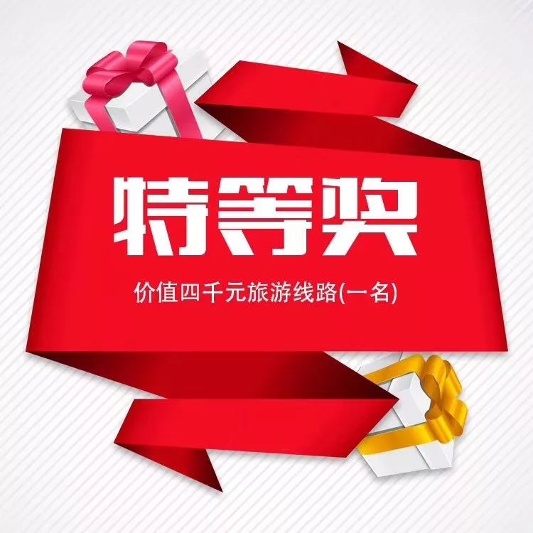 2017年11月1日最新头像潮流解析，个性表达与审美趋势的碰撞