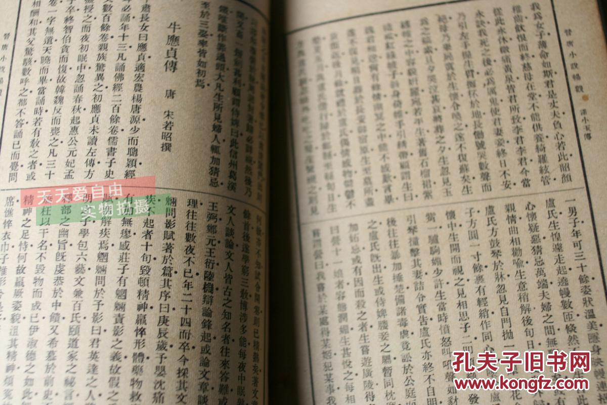 11月1日下山虎小说最新观点论述