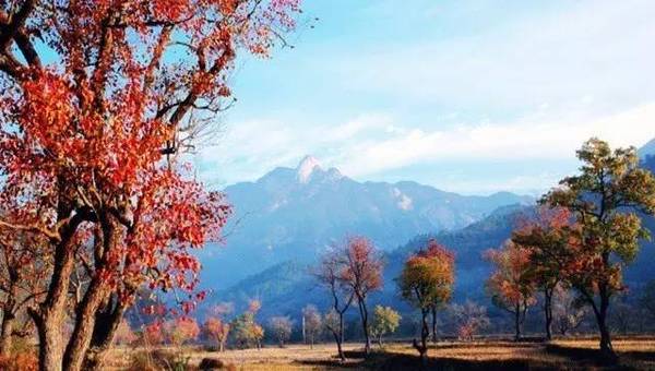 11月1日初冬穿搭大解密，时尚先锋的深度评测