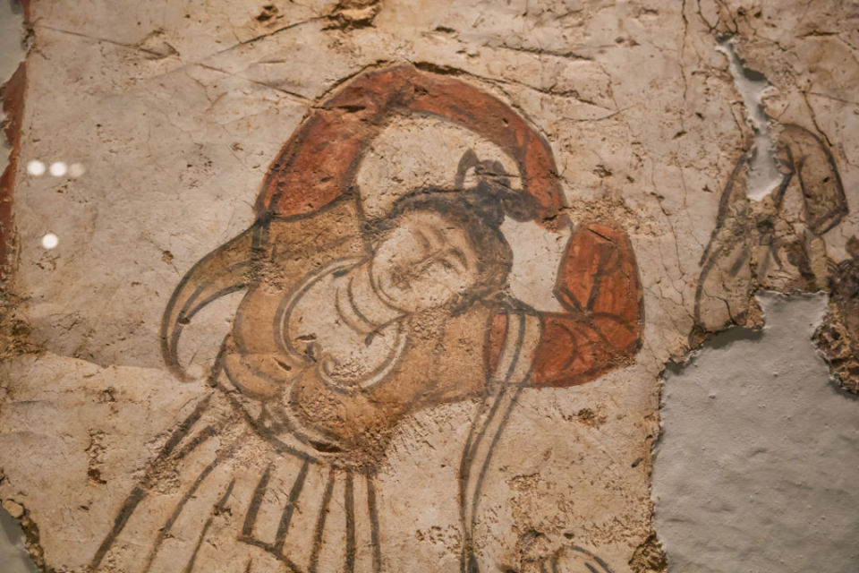 前田桃杏最新动态，揭秘11月2日前的最新消息