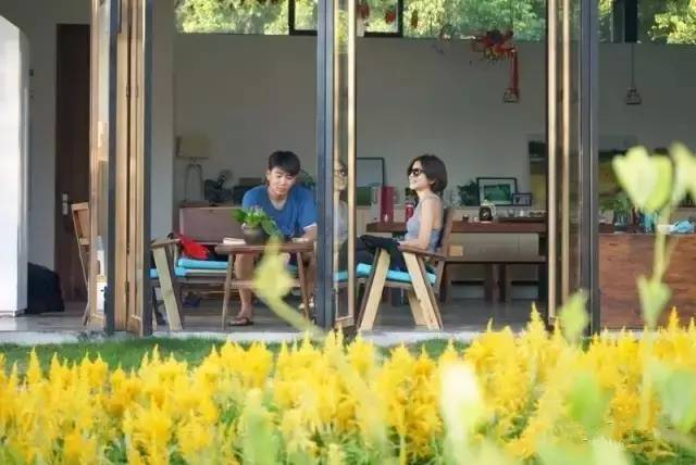 揭秘最新菊花展科技盛宴，科技与菊花的完美融合