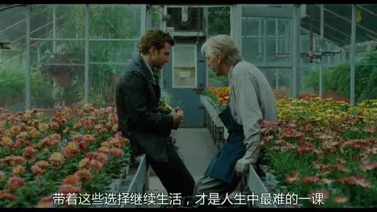 武汉阿念背后的故事与深远影响，一场活动的最新进展