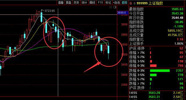 2024年11月3日 第25页