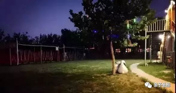 探秘隐藏小巷的神秘乐园，揭秘一家儿童乐园的独特魅力（11月3日更新）