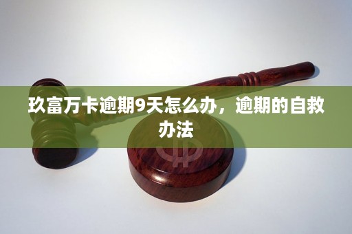 揭秘最新动态，11月3日玖富万卡更新亮点解析