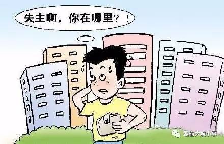 钱包失而复得背后的力量，学习变化与自信成就的瞬间