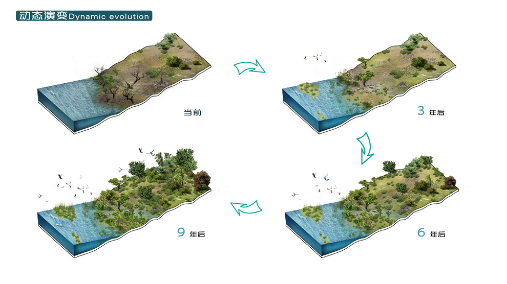 11月3日孙悦最新动态，多维度视角下的观点碰撞
