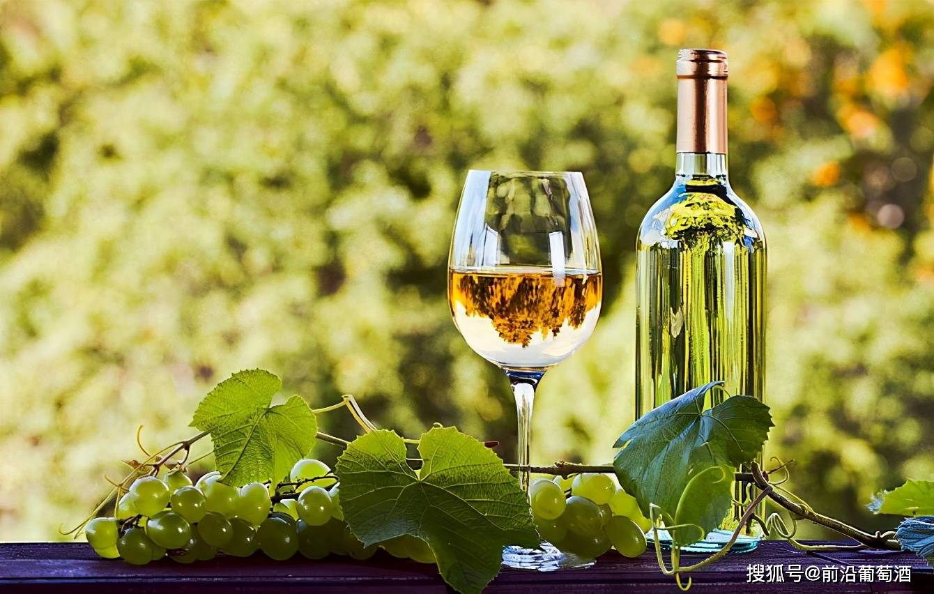 探秘小巷深处的葡萄佳酿，最新行情独家解读（11月最新更新）