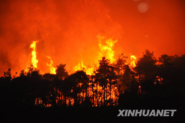 贵州火灾后隐藏版特色小店的奇遇记，小巷深处的独特味道最新消息