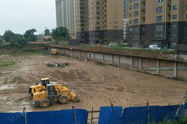 西安馨悦茗园新篇章，11月动态揭秘，变化中的力量源泉