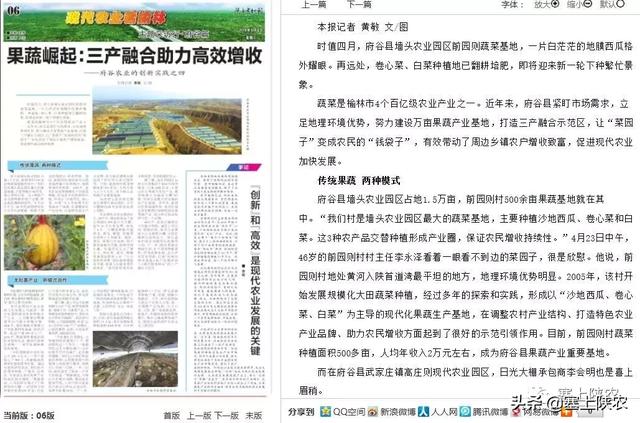 淳化新篇章，深度解读最新新闻，日期为11月4日