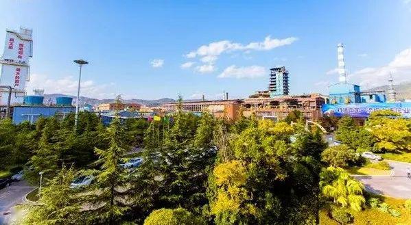 云南铜业最新动态解析与投资策略指南，把握机会，深入了解（初学者进阶必备）