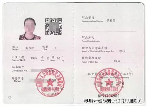 11月4日最新保育员证的重要性、影响及深度解析，行业观点阐述