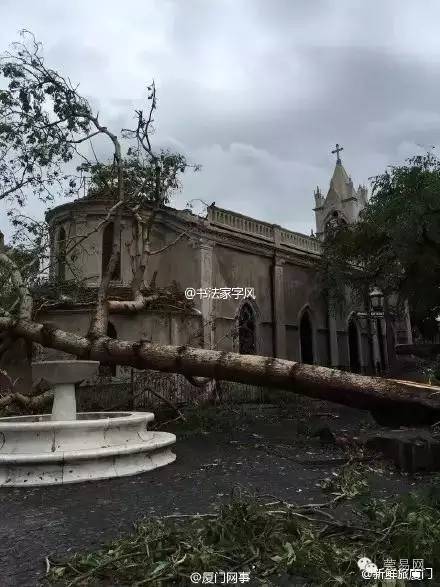 阳台风背后的故事，揭秘美食秘境与小巷深处的独特小店