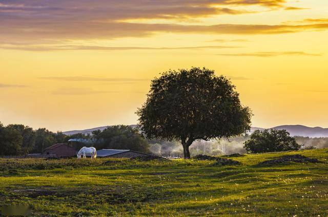 新款手动瓷砖切割机，探索自然美景，重拾内心宁静与平和之旅