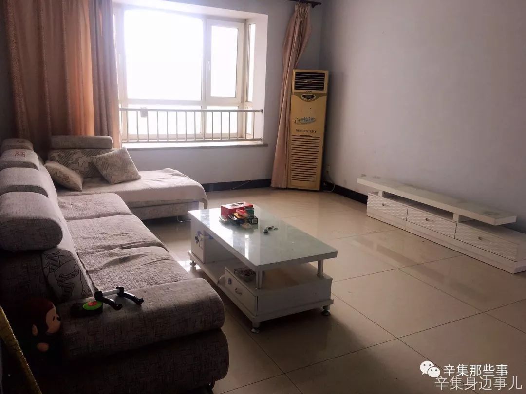 辛集招聘网最新动态，求职路上的幸运与友情温暖