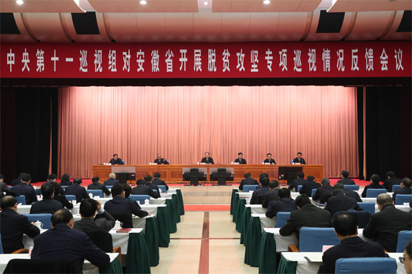 聚焦要点解析，王晓超巡视最新动态（11月4日更新）