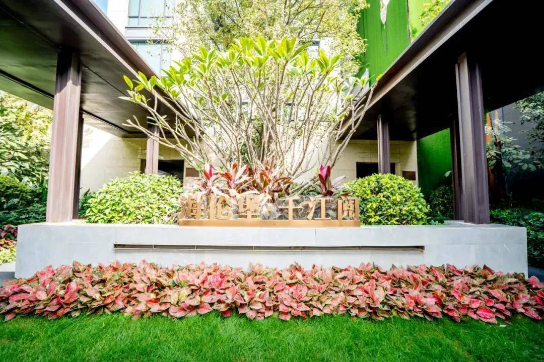 11月4日好分数最新版，自然美景的心灵之旅