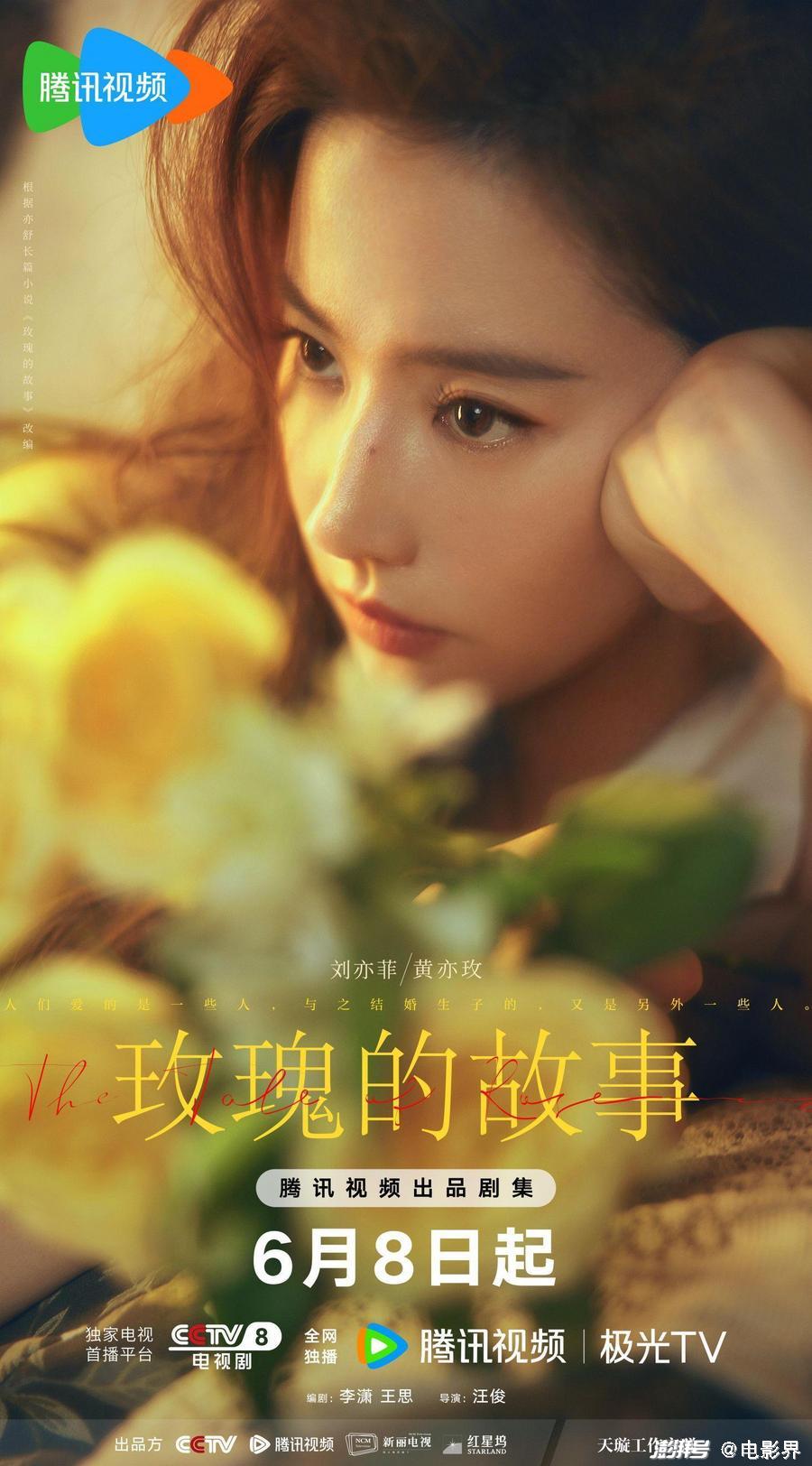 探秘小巷深处的挚爱，最新章节下的独特小店，一生挚爱在11月4日绽放