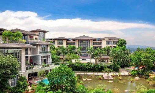 贵州威宁龙吟事件最新动态与观点探讨（11月5日更新）