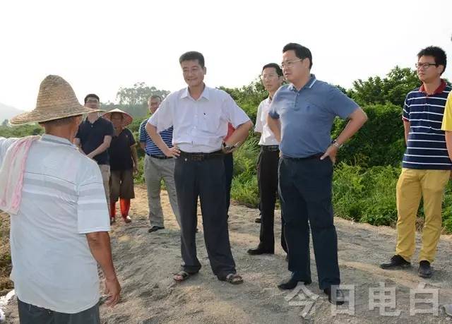 探寻电白台风天鸽的特点与影响，最新动态及最新消息更新