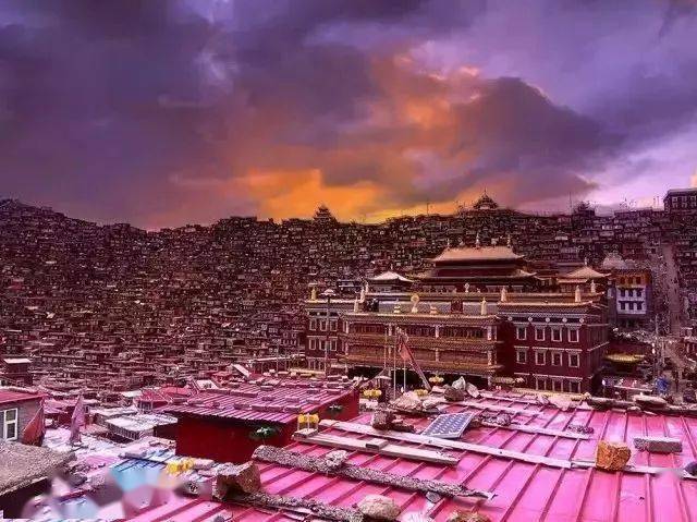 11月5日小草之家最新手机地址，一站式科技体验的新领地探索