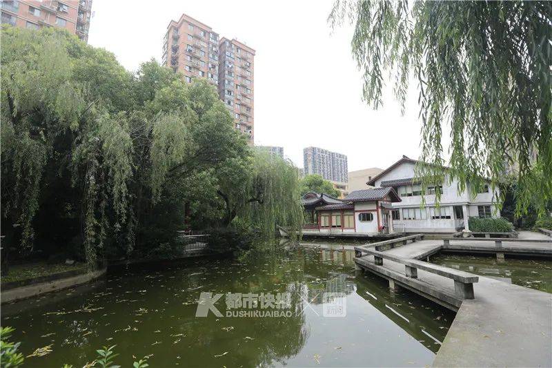 杭州来女士案件最新进展与神秘小店探秘揭秘