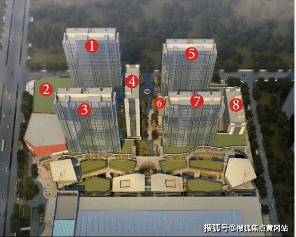 唐国强最新事件深度解析，11月5日的里程碑时刻