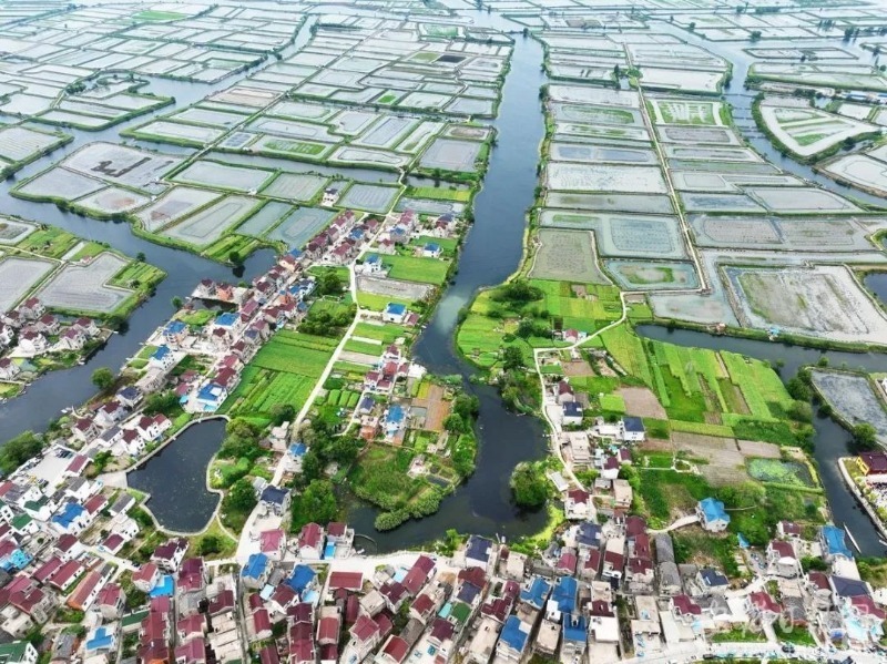 长春南部新城11月5日最新动态，心灵觉醒的自然之旅与宁静启程