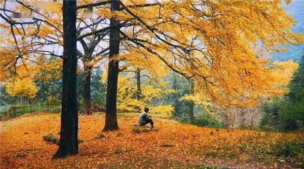 永州市秋日秘境，与自然共舞，心灵港湾探寻之旅